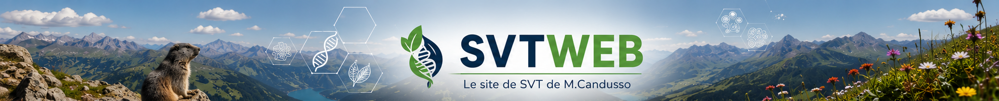 svtweb, site de SVT de M.Candusso